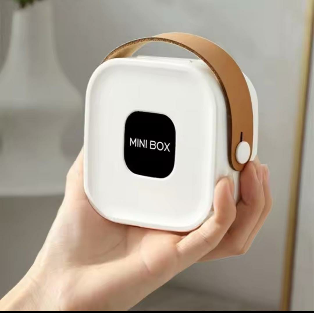 Ins Jewelry Box Portable Travel Storage Earring Necklace Ring Organizer Case With Leather Handle Simple Mini Jewelry Display BBD